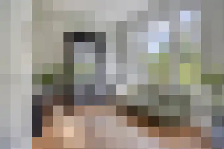 Hogeweg 27 Velp thumbnail 16