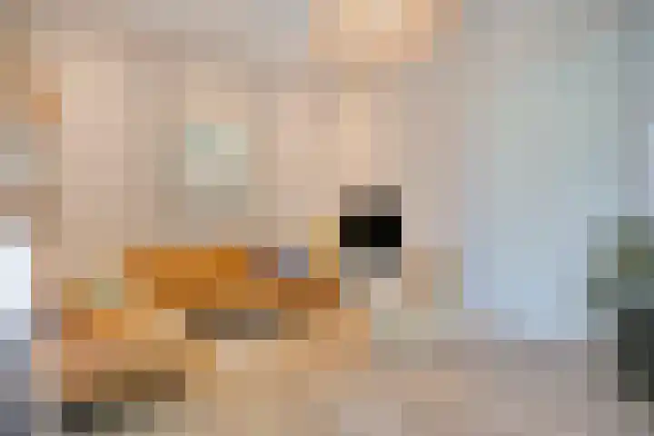 Hogeweg 27 Velp thumbnail 19