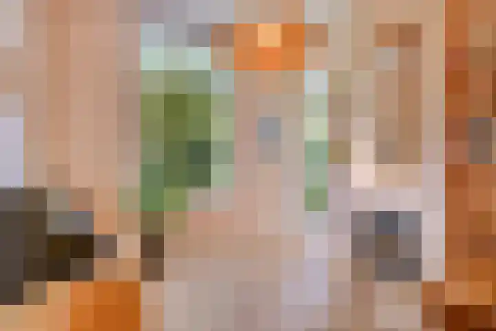 Hogeweg 27 Velp thumbnail 20
