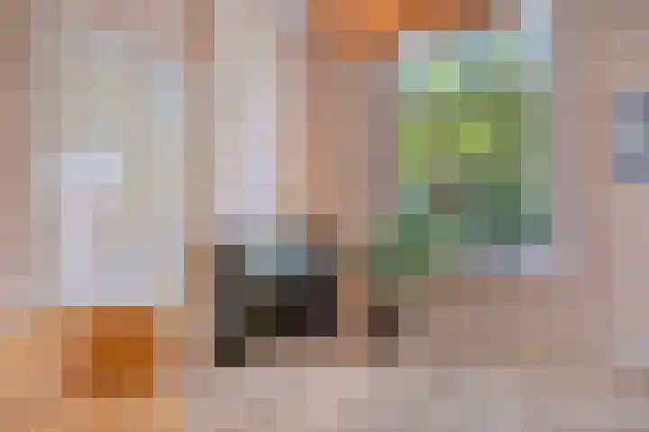 Hogeweg 27 Velp thumbnail 21
