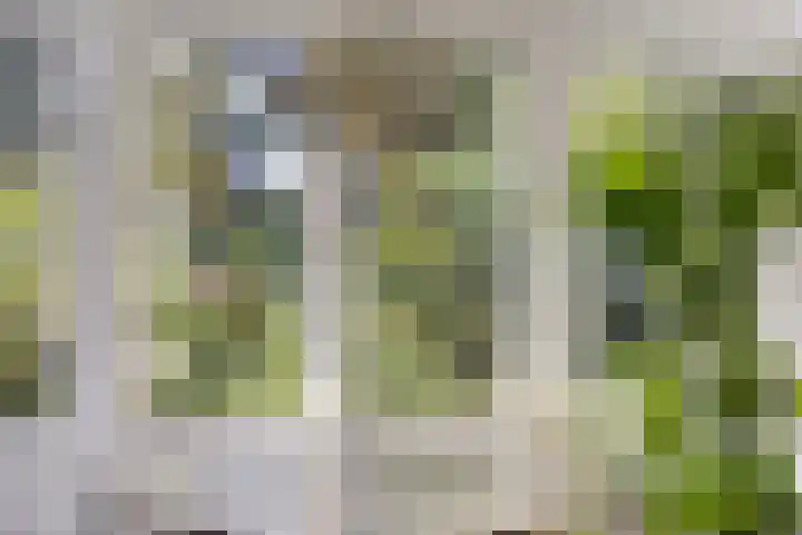 Hogeweg 27 Velp thumbnail 24
