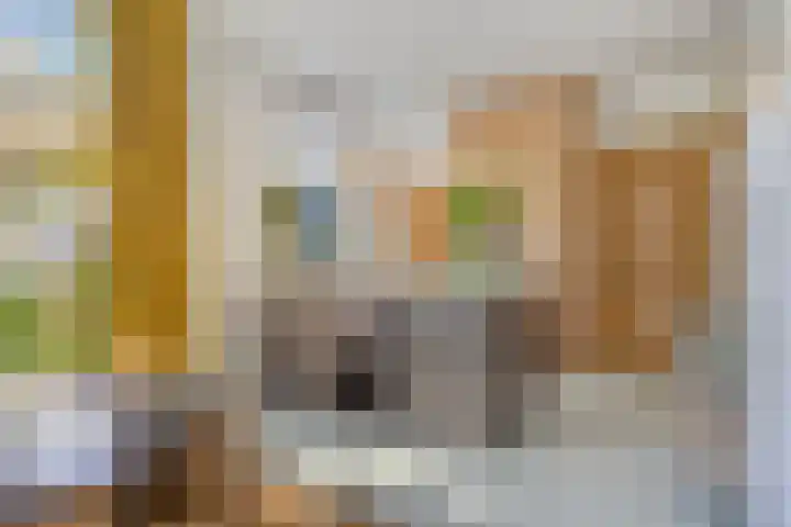 Hogeweg 27 Velp thumbnail 26