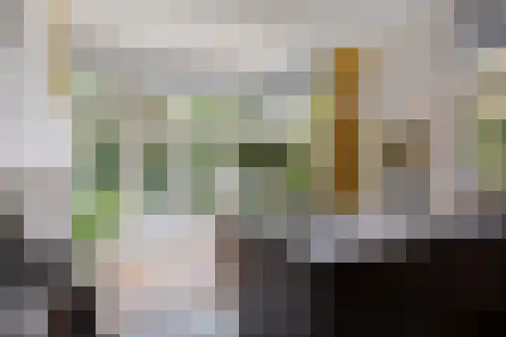 Hogeweg 27 Velp thumbnail 28