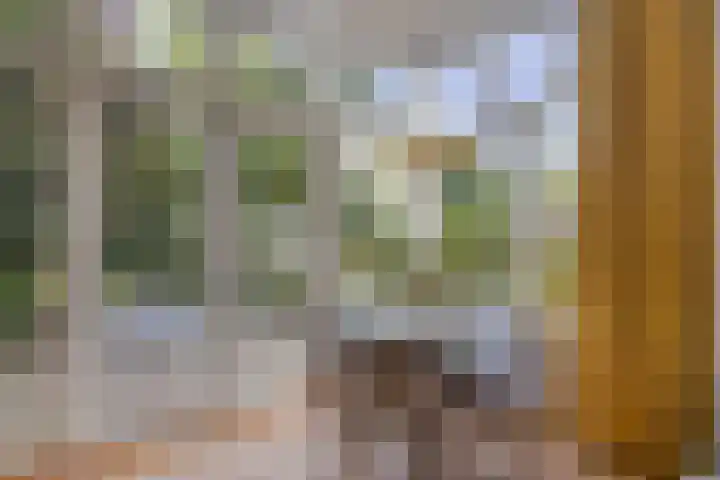 Hogeweg 27 Velp thumbnail 30