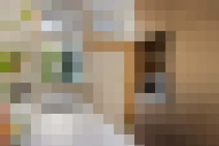 Hogeweg 27 Velp thumbnail 31