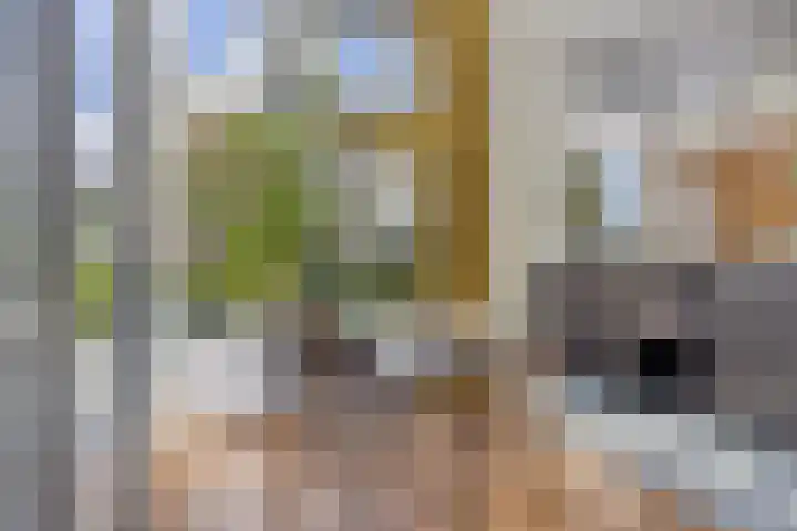 Hogeweg 27 Velp thumbnail 32