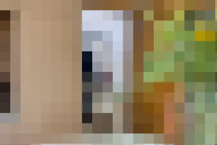 Hogeweg 27 Velp thumbnail 33