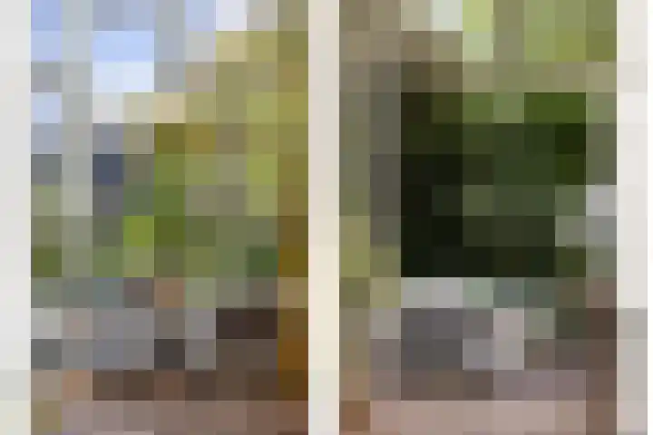 Hogeweg 27 Velp thumbnail 34