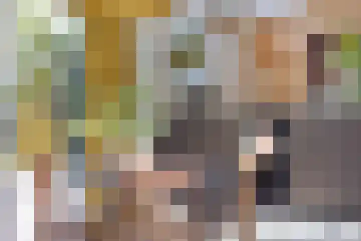 Hogeweg 27 Velp thumbnail 35