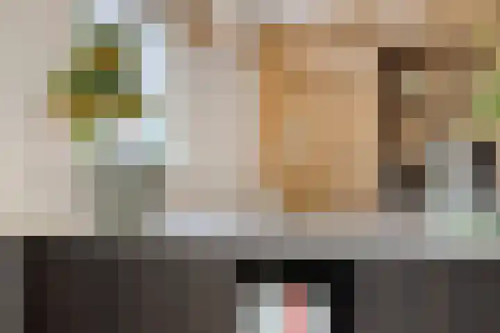 Hogeweg 27 Velp thumbnail 36