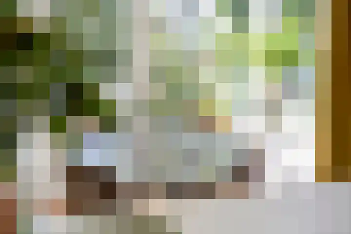 Hogeweg 27 Velp thumbnail 37