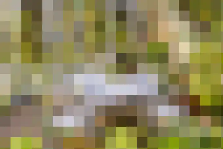 Hogeweg 27 Velp thumbnail 38