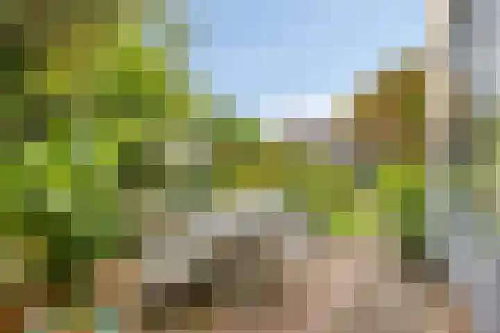 Hogeweg 27 Velp thumbnail 39