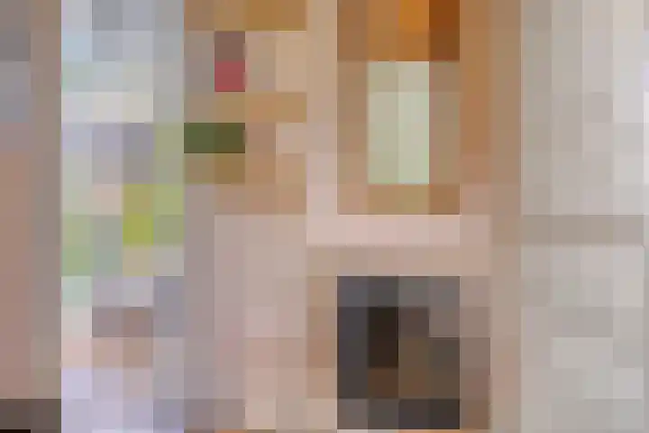 Hogeweg 27 Velp thumbnail 4