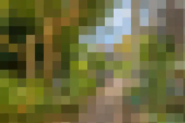 Hogeweg 27 Velp thumbnail 41