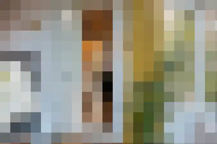 Hogeweg 27 Velp thumbnail 42