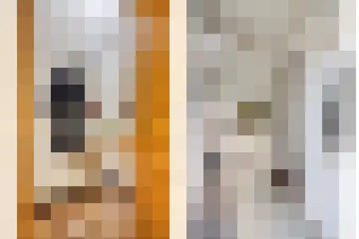 Hogeweg 27 Velp thumbnail 43