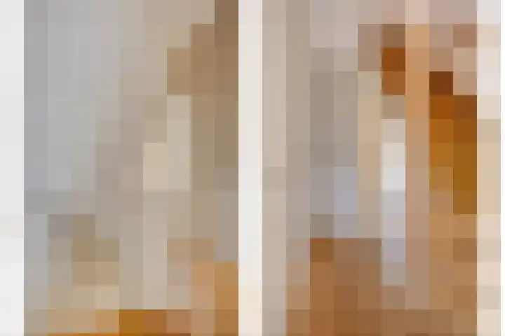 Hogeweg 27 Velp thumbnail 45