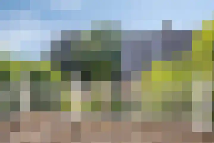 Hogeweg 27 Velp thumbnail 53