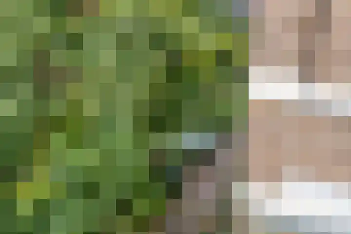 Hogeweg 27 Velp thumbnail 54