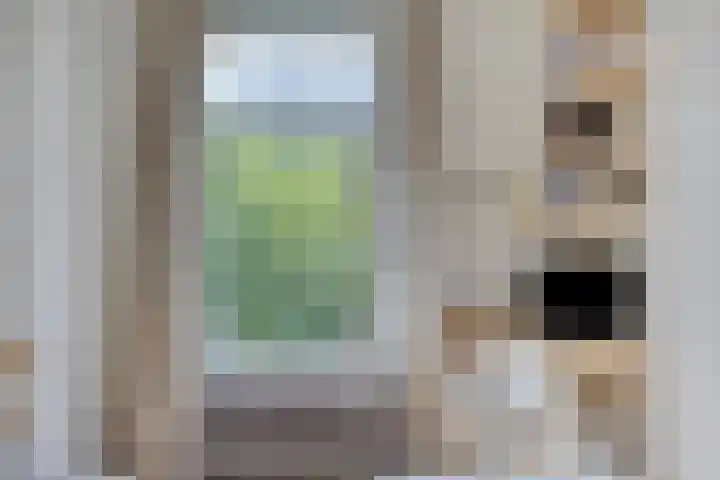 Hogeweg 27 Velp thumbnail 55