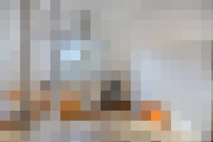 Hogeweg 27 Velp thumbnail 61
