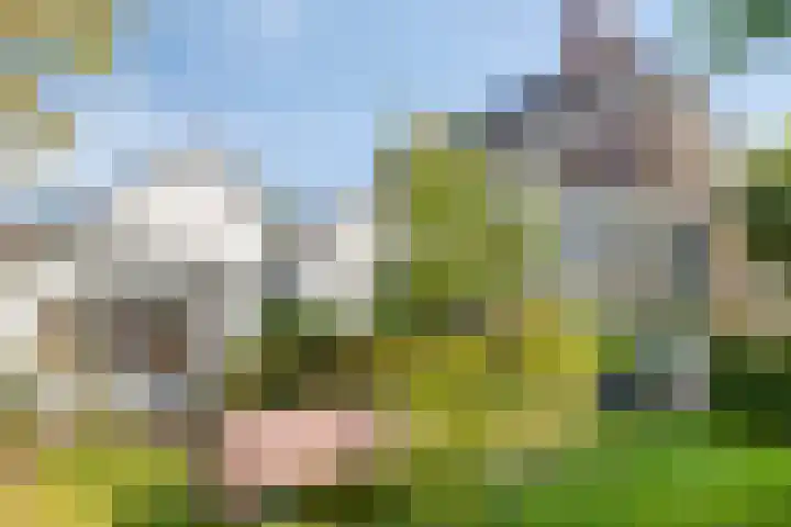 Hogeweg 27 Velp thumbnail 64