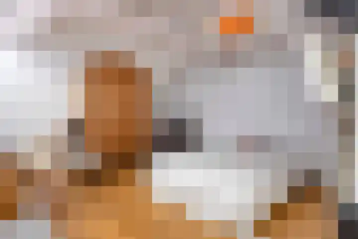 Hogeweg 27 Velp thumbnail 66
