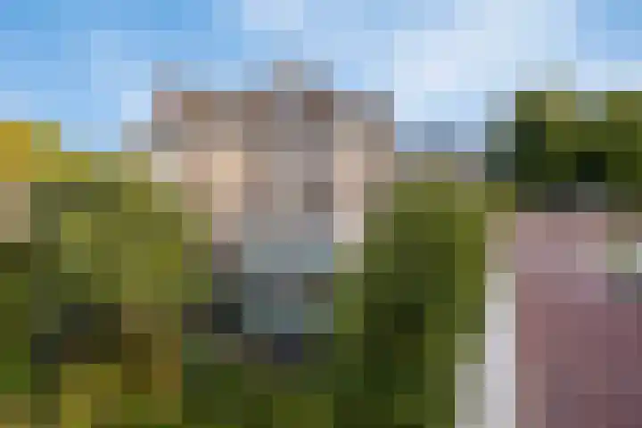 Hogeweg 27 Velp thumbnail 7