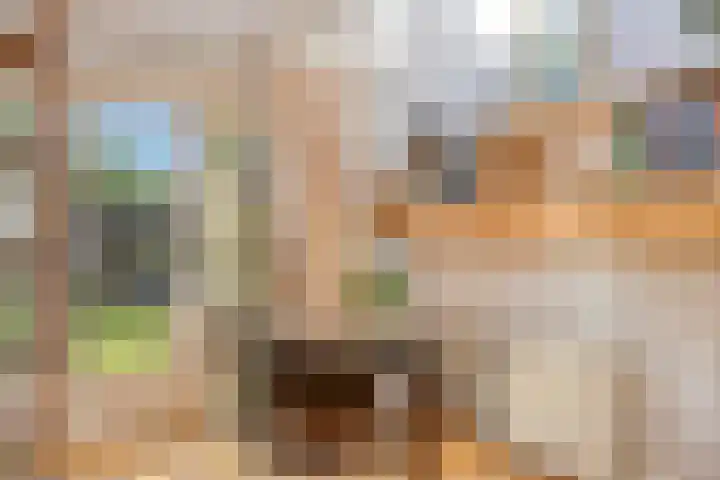 Hogeweg 27 Velp thumbnail 72