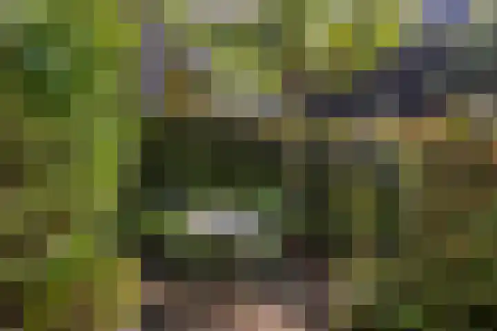 Hogeweg 27 Velp thumbnail 75
