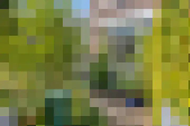 Hogeweg 27 Velp thumbnail 8