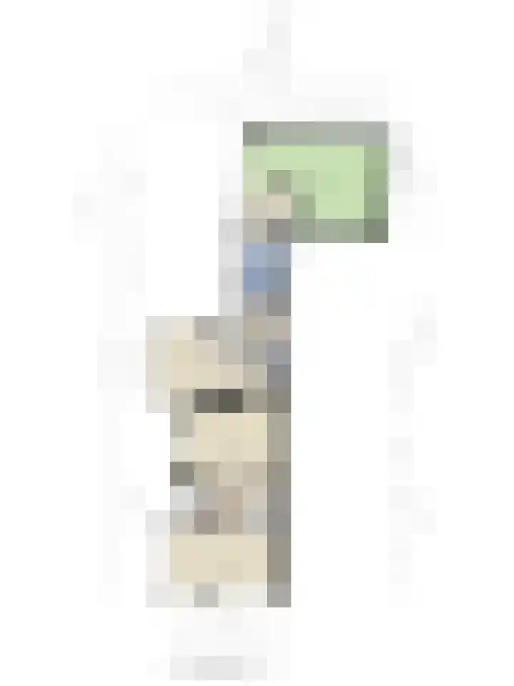 Hogeweg 27 Velp thumbnail 80