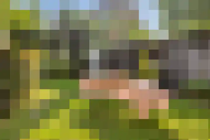 Hogeweg 27 Velp thumbnail 82
