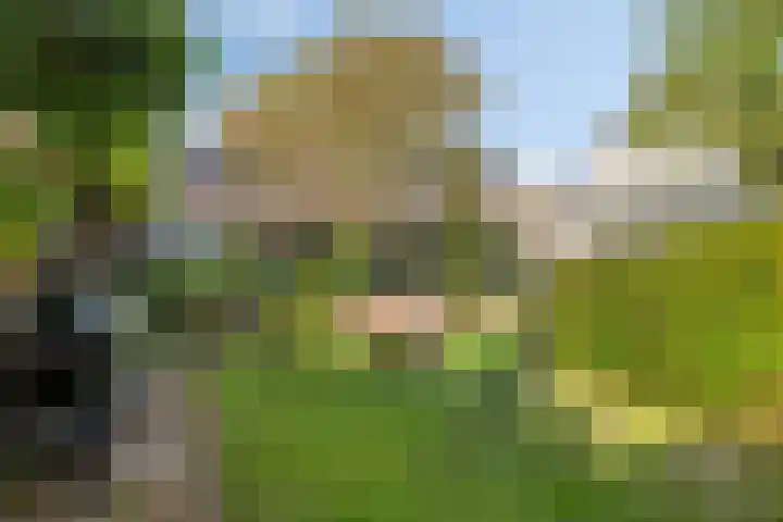 Hogeweg 27 Velp thumbnail 83