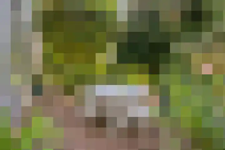 Hogeweg 27 Velp thumbnail 84