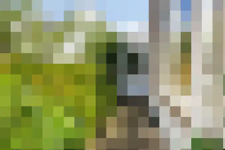 Hogeweg 27 Velp thumbnail 85