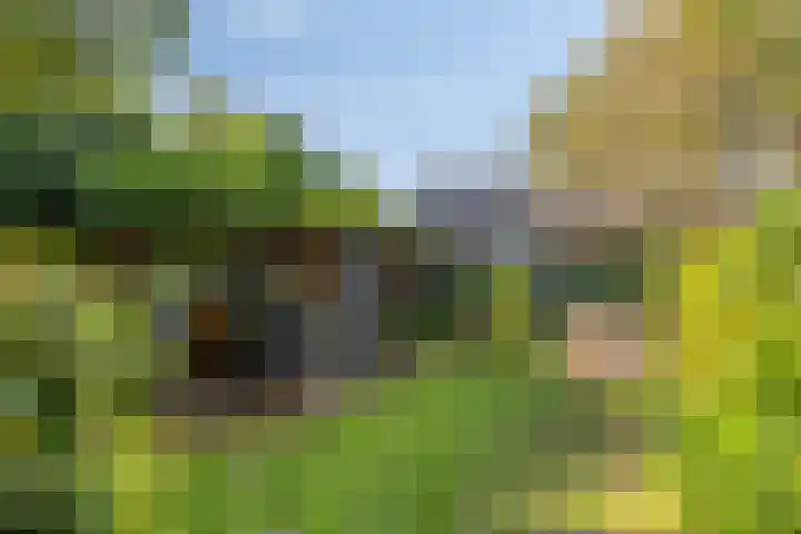 Hogeweg 27 Velp thumbnail 86