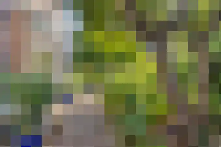 Hogeweg 27 Velp thumbnail 88