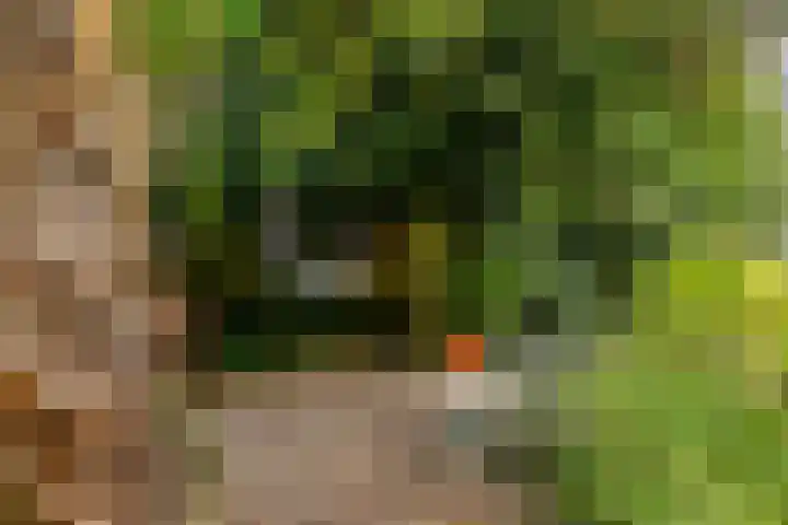 Hogeweg 27 Velp thumbnail 89