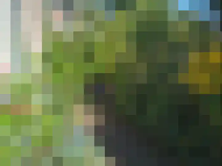 Hogeweg 27 Velp thumbnail 9