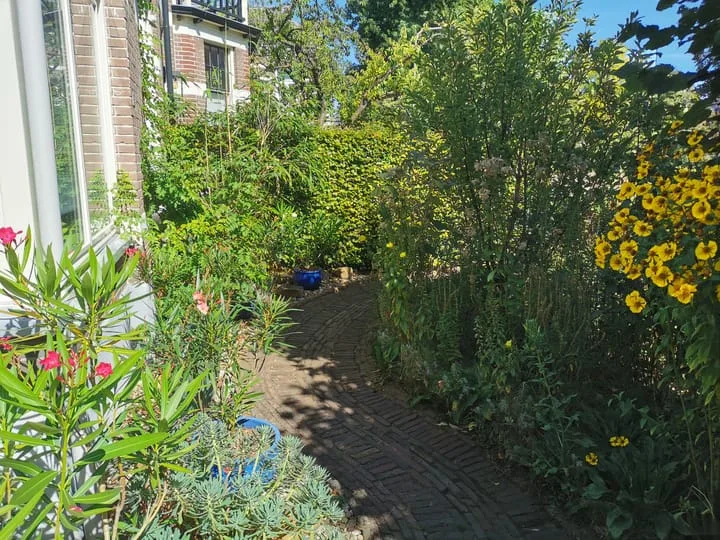 Hogeweg 27 Velp thumbnail 9