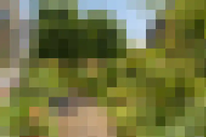 Hogeweg 27 Velp thumbnail 90