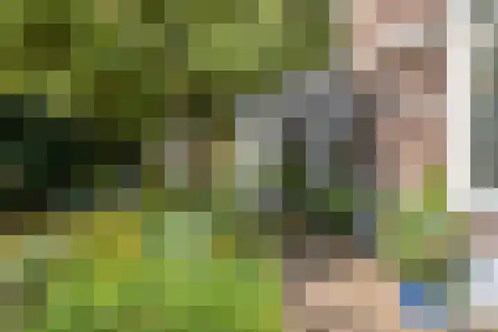 Hogeweg 27 Velp thumbnail 91
