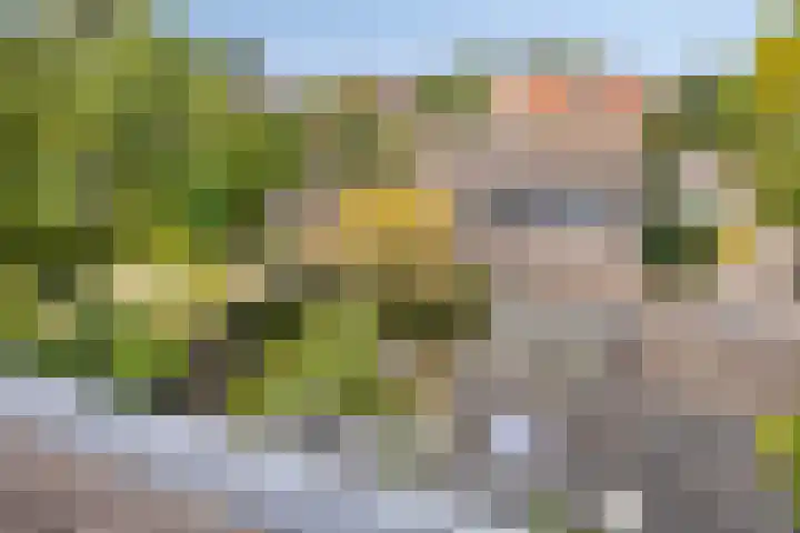 Hogeweg 27 Velp thumbnail 92