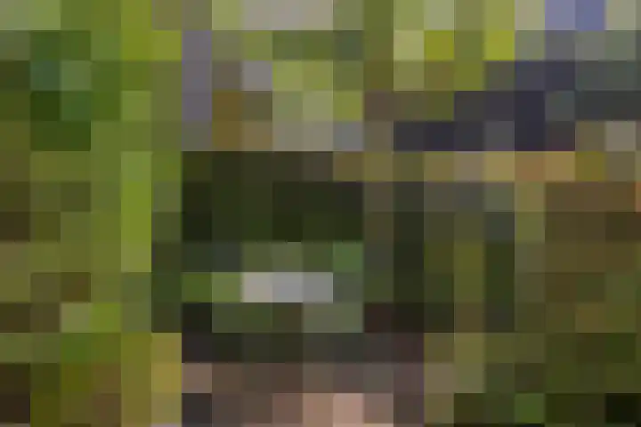 Hogeweg 27 Velp thumbnail 93