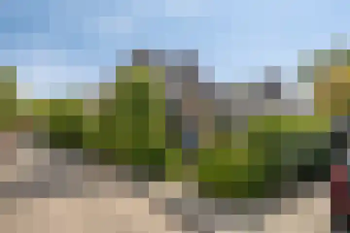Hogeweg 27 Velp thumbnail 94