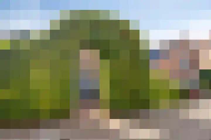 Hogeweg 27 Velp thumbnail 95