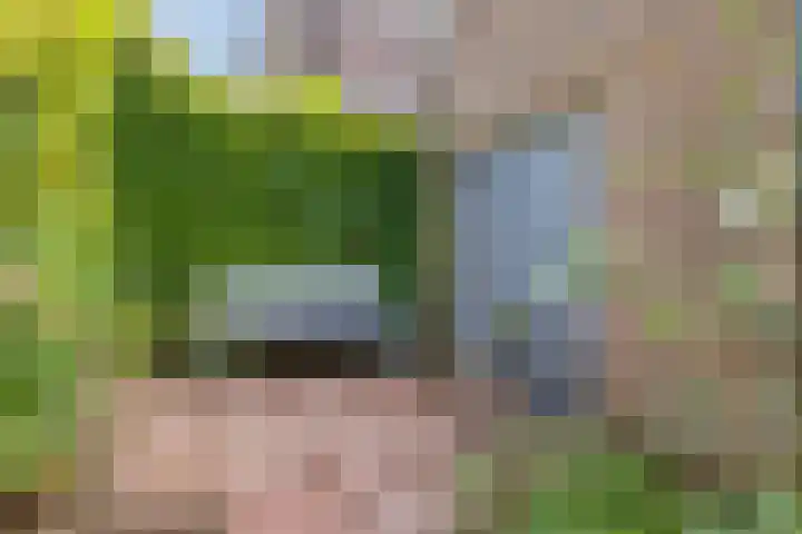 Hogeweg 27 Velp thumbnail 96