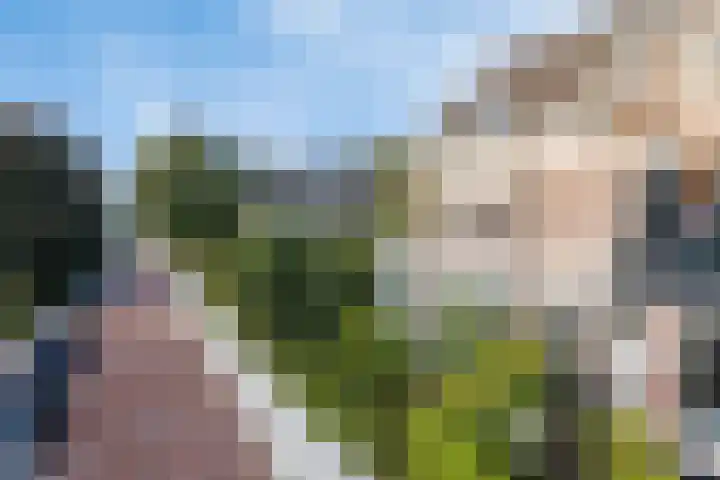 Hogeweg 27 Velp thumbnail 97